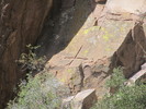 photo thumbnail #8