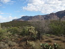 photo thumbnail #14