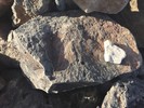photo thumbnail #15