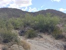 photo thumbnail #5