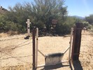 photo thumbnail #2