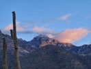 photo thumbnail #1