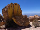 photo thumbnail #9