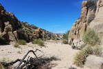 photo thumbnail #2