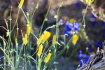 photo thumbnail #10