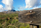 photo thumbnail #1