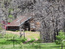 photo thumbnail #1