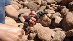 photo thumbnail #3