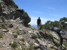photo thumbnail #4