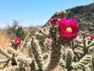 photo thumbnail #4