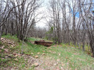 photo thumbnail #1