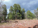 photo thumbnail #2