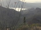 photo thumbnail #5