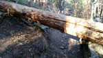photo thumbnail #5
