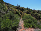 photo thumbnail #11