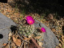photo thumbnail #6