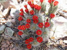photo thumbnail #8