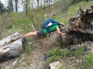 photo thumbnail #2
