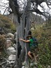 photo thumbnail #5