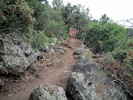 photo thumbnail #15