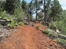 photo thumbnail #8