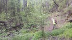 photo thumbnail #5