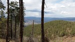 photo thumbnail #11
