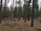 photo thumbnail #5