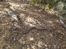 photo thumbnail #13