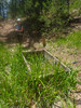 photo thumbnail #14