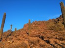 photo thumbnail #1