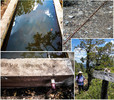 photo thumbnail #14