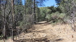 photo thumbnail #10