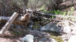 photo thumbnail #13