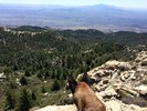 photo thumbnail #3