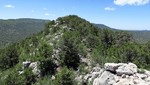 photo thumbnail #5