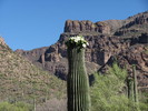 photo thumbnail #4