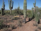 photo thumbnail #6