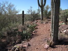 photo thumbnail #10