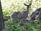 photo thumbnail #2