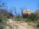 photo thumbnail #3