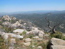 photo thumbnail #7