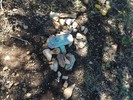 photo thumbnail #8
