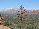 photo thumbnail #9