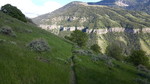 photo thumbnail #5