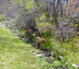 photo thumbnail #12