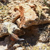 photo thumbnail #12