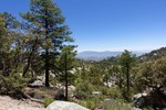 photo thumbnail #2