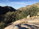 photo thumbnail #4