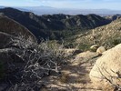 photo thumbnail #6